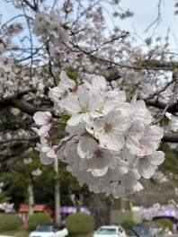 きつねじま日和～スタッフの休日