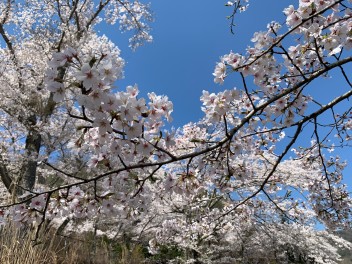 週末もスズキへ☆