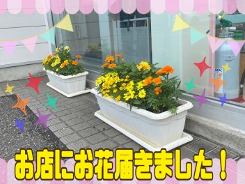 ♡お店にお花飾ってます♡