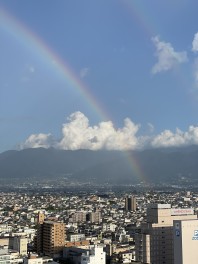 夏虹