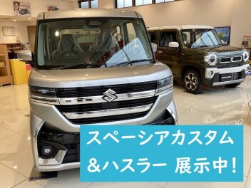 展示車が変わりました！