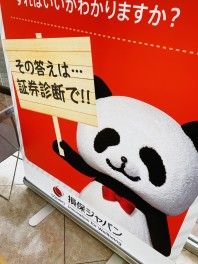 週末展示会♪のご案内と自動車保険の証券診断実施会♪