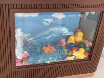 玖珠店のショールーム夏仕様になりました。
