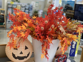 10月のワンプライス車のご案内(*^▽^*)