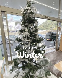 クリスマスツリー出しました☆