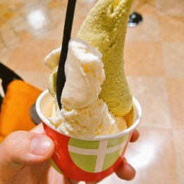 冬の使者、現る。