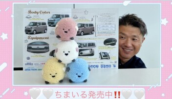 ちまいるのぬいぐるみがきました！！