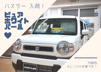 新しい展示車が入荷しました！