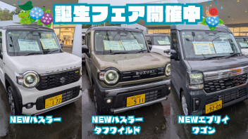 誕生フェア開催！見て、触れて、試乗して、納得の1台を見つけませんか？