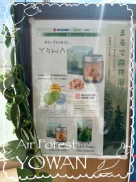まるで森林浴　エアキューブ