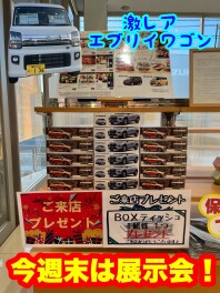 今週末は展示会！