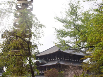 きたやまのひとりごと・・・