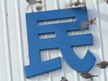 もふちゅんの佐渡