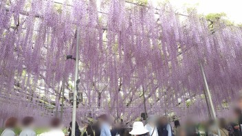 春といえば、、、