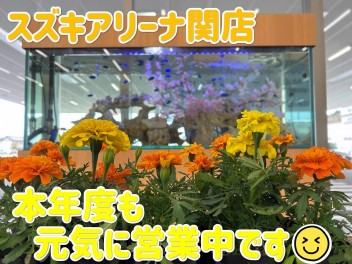 4月の関