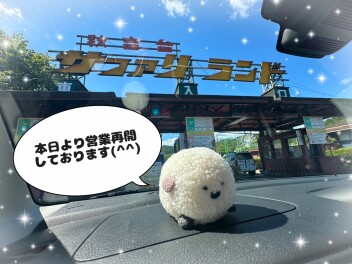 本日より営業再開いたします！