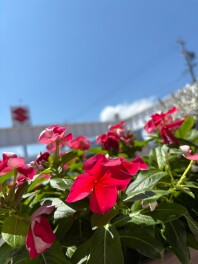 熱中症にご注意ください！！