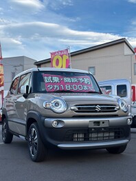 今週末の混雑情報！　スズキのお店で試乗しよう！