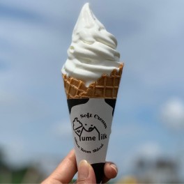 ６月１0日・１１日☆サンクスフェスタ開催！！