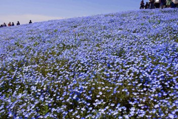 ５月始まりました♪