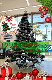 クリスマスツリーの時期になりました！