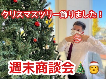 クリスマスツリー出しました！青梅店のお得な週末！