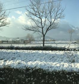 雪景色＼(◎o◎)／！