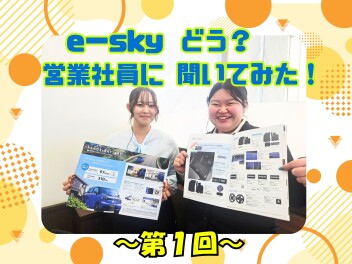 e　SKY、どう？営業社員に聞いてみた！インタビュー～第１回～