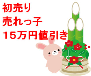 初売り　売れっ子15万円値引き！！