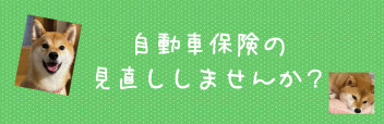 雪、強風は大丈夫でしたか？