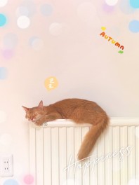 タイヤ交換の予約はもうお済ですか？