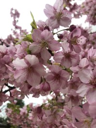 特別な１０日間も残りわずかです！