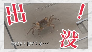 最近よく出てくる・・・・