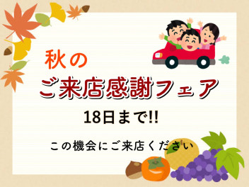 秋のご来店感謝フェア！！１８日まで☆彡