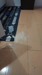 あれ、半袖でいいのかも、、、？