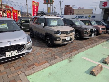普通車の試乗車たくさんあります！