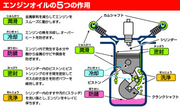 ♡レディースデーご案内♡