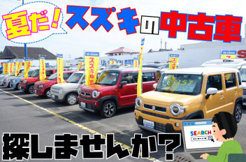 夏だ！スズキの中古車探しだー！