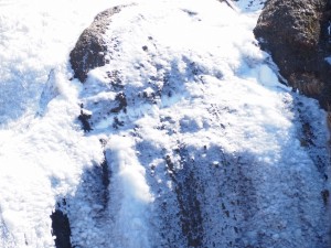 IMG_0430