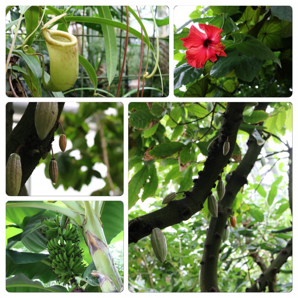 京都府立植物園２