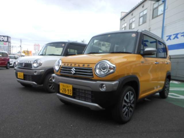 DSCN8968