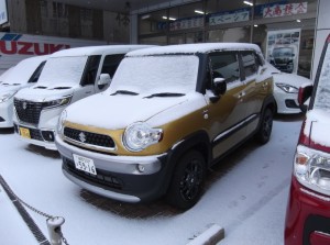 DSCF3746