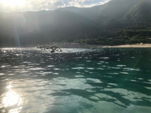 IMG_1082