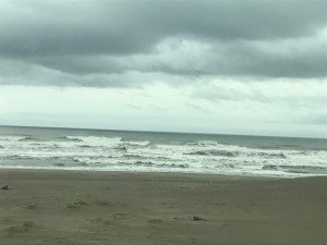 IMG_0929