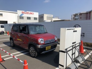 IMG_3817