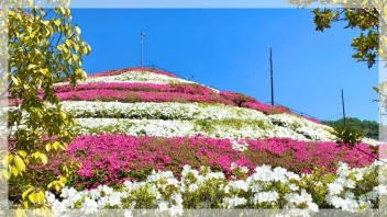 本日もコロナ対策バッチリ！元気に営業中！