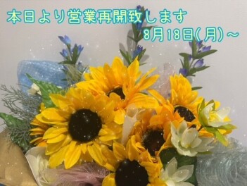 営業再開します！