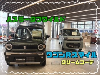 展示車きました