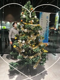 クリスマスツリーを出しました☆