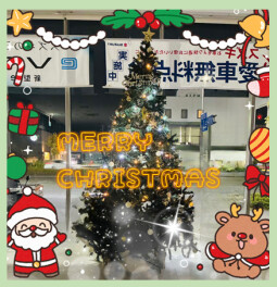 ✨クリスマスの季節がきました✨